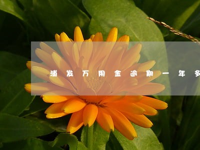 浦发万用金逾期一年多的有没有 浦发万用金逾期一年多的有没有