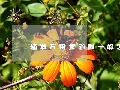 浦发万用金逾期一般怎么判 浦发万用金逾期一般怎么判