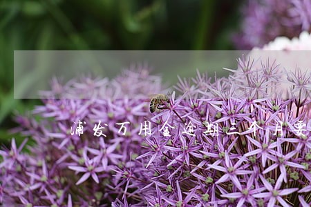 浦发万用金逾期三个月要报案 浦发万用金逾期三个月要报案