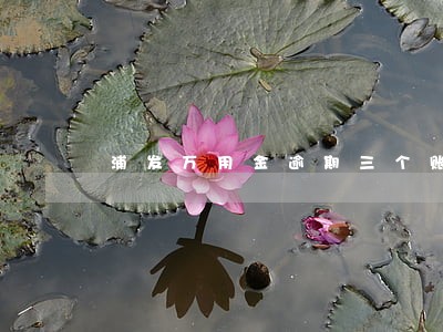 浦发万用金逾期三个账期怎样自救 浦发万用金逾期三个账期怎样自救