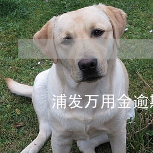 浦发万用金逾期三日 浦发万用金逾期三日
