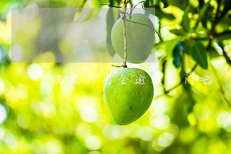 浦发万用金逾期上门吧 浦发万用金逾期上门吧