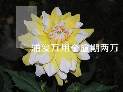 浦发万用金逾期两万 浦发万用金逾期两万