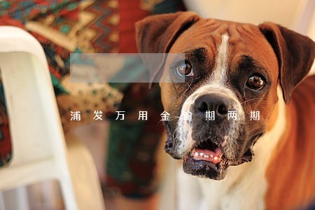 浦发万用金逾期两期 浦发万用金逾期两期