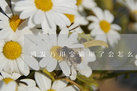 浦发万用金逾期了会怎么样 浦发万用金逾期了会怎么样