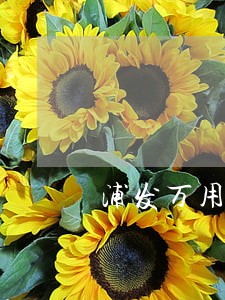 浦发万用金逾期交公检是真的吗 浦发万用金逾期交公检是真的吗