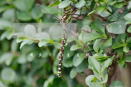 浦发万用金逾期人数