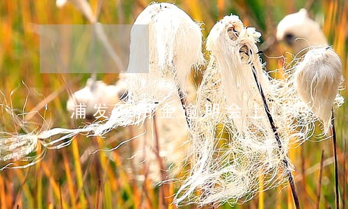 浦发万用金逾期会上门吗 浦发万用金逾期会上门吗