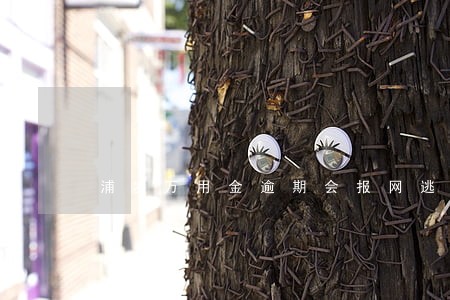 浦发万用金逾期会报网逃吗 浦发万用金逾期会报网逃吗