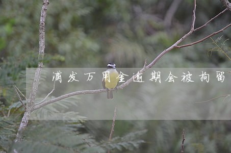 浦发万用金逾期会被拘留吗 浦发万用金逾期会被拘留吗