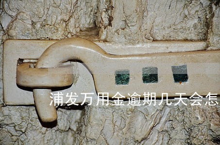 浦发万用金逾期几天会怎么样 浦发万用金逾期几天会怎么样