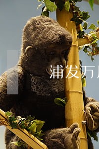 浦发万用金逾期判刑案例 浦发万用金逾期判刑案例