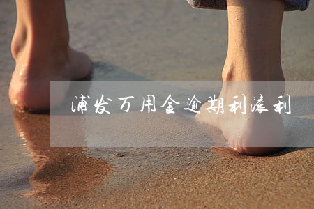 浦发万用金逾期利滚利 浦发万用金逾期利滚利
