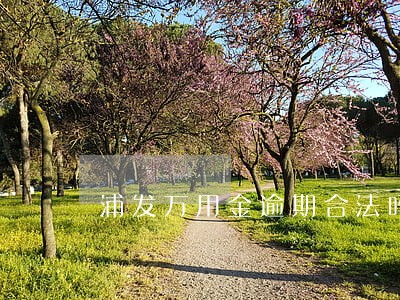 浦发万用金逾期合法吗