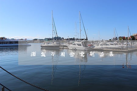 浦发万用金逾期后果 浦发万用金逾期后果