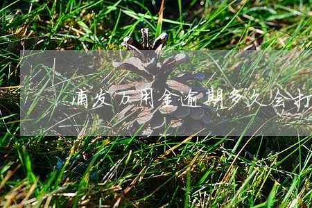 浦发万用金逾期多久会打电话 浦发万用金逾期多久会打电话