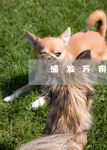 浦发万用金逾期害死人 浦发万用金逾期害死人