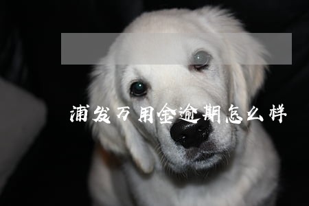 浦发万用金逾期怎么样 浦发万用金逾期怎么样