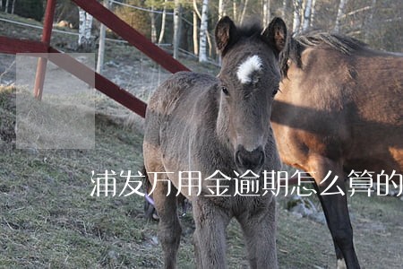 浦发万用金逾期怎么算的 浦发万用金逾期怎么算的