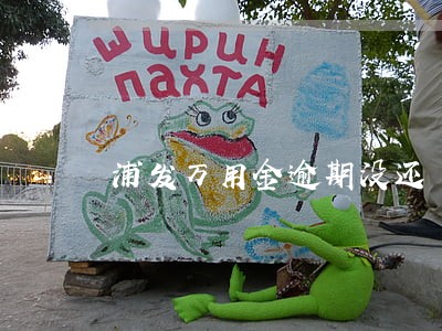 浦发万用金逾期没还