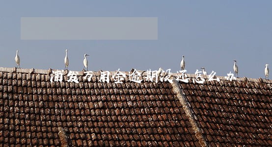 浦发万用金逾期没还怎么办 浦发万用金逾期没还怎么办