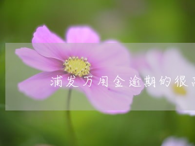 浦发万用金逾期的很高 浦发万用金逾期的很高