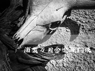 浦发万用金逾期约谈 浦发万用金逾期约谈