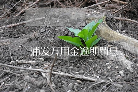 浦发万用金逾期罚息 浦发万用金逾期罚息