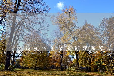 浦发万用金逾期联系家人 浦发万用金逾期联系家人