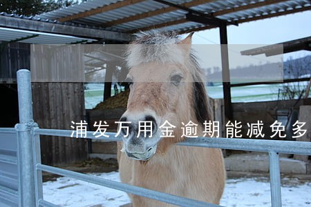 浦发万用金逾期能减免多少 浦发万用金逾期能减免多少
