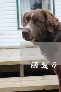 浦发万用金逾期能减免多少钱 浦发万用金逾期能减免多少钱