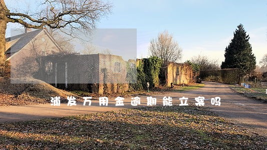 浦发万用金逾期能立案吗