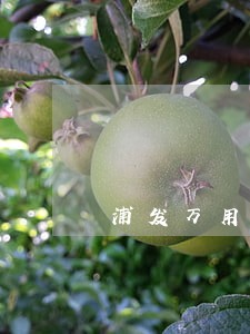 浦发万用金逾期自己没有能力偿还 浦发万用金逾期自己没有能力偿还
