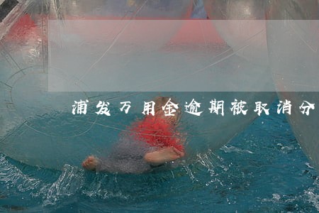 浦发万用金逾期被取消分期 浦发万用金逾期被取消分期