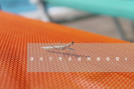 浦发万用金逾期被报警6 浦发万用金逾期被报警6