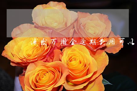 浦发万用金逾期费用可以协商吗 浦发万用金逾期费用可以协商吗