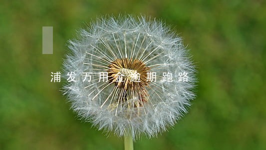 浦发万用金逾期跑路 浦发万用金逾期跑路