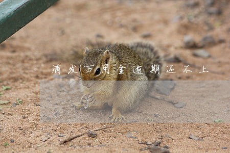 浦发万用金逾期还不上 浦发万用金逾期还不上