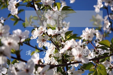 浦发万用金逾期还不起了怎么办 浦发万用金逾期还不起了怎么办