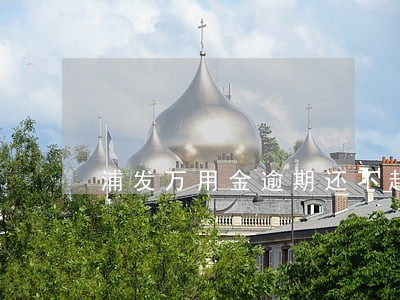 浦发万用金逾期还不起怎么办 浦发万用金逾期还不起怎么办