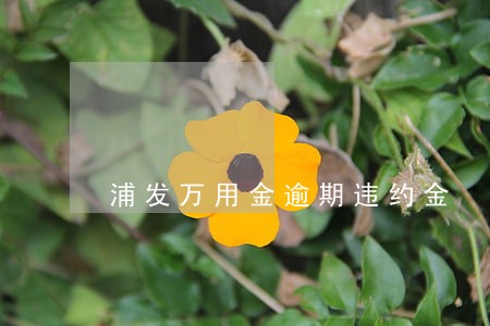 浦发万用金逾期违约金 浦发万用金逾期违约金