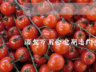 浦发万用金逾期违约金多少 浦发万用金逾期违约金多少
