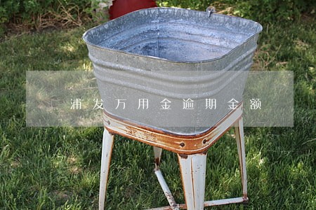 浦发万用金逾期金额 浦发万用金逾期金额