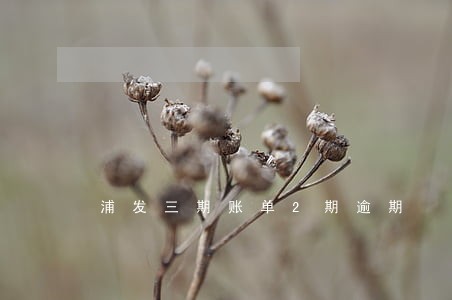 浦发三期账单2期逾期 浦发三期账单2期逾期