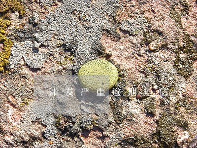 浦发严重逾期短信 浦发严重逾期短信