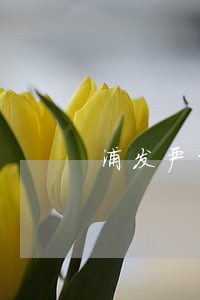 浦发严重逾期解冻成功的 浦发严重逾期解冻成功的