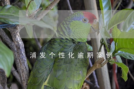 浦发个性化逾期案例 浦发个性化逾期案例