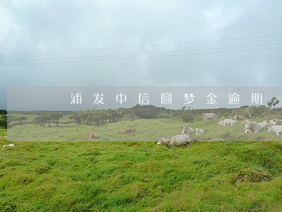 浦发中信圆梦金逾期 浦发中信圆梦金逾期