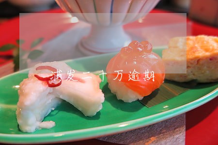浦发二十万逾期 浦发二十万逾期