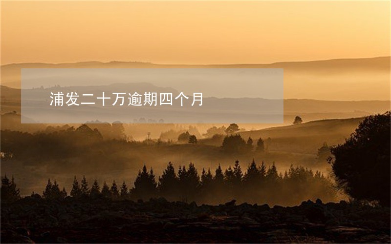 浦发二十万逾期四个月 浦发二十万逾期四个月